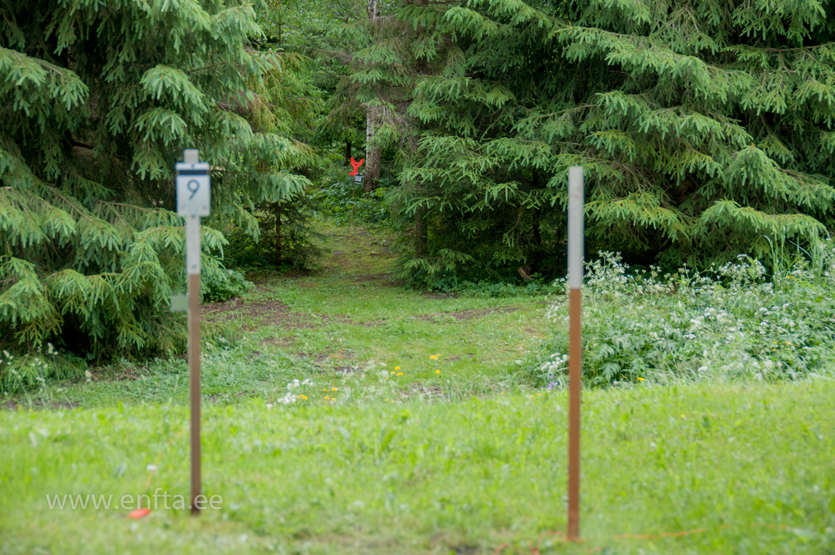 085 Targets in all colours